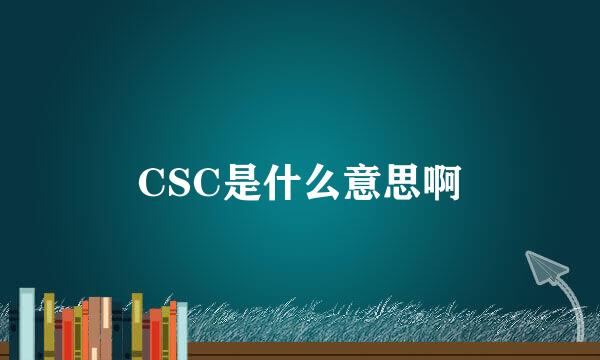 CSC是什么意思啊