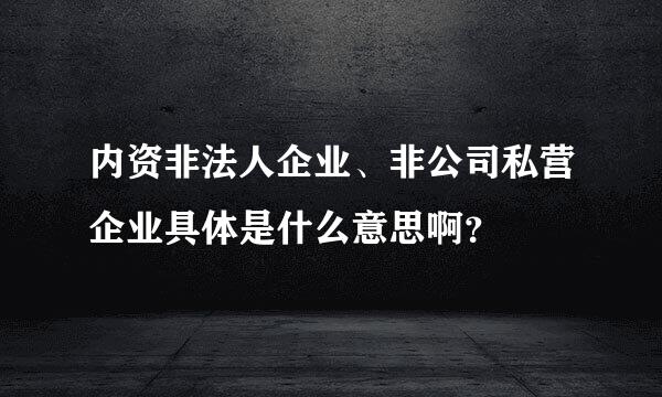 内资非法人企业、非公司私营企业具体是什么意思啊？