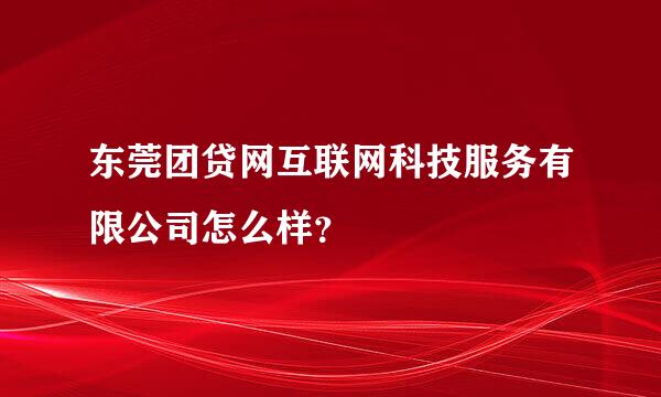 东莞团贷网互联网科技服务有限公司怎么样？