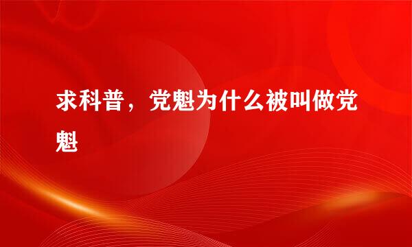 求科普，党魁为什么被叫做党魁