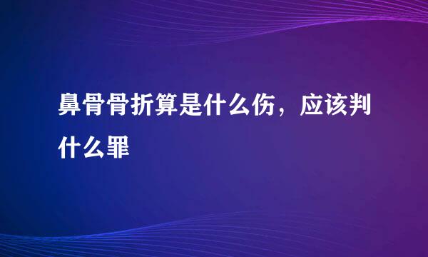 鼻骨骨折算是什么伤，应该判什么罪