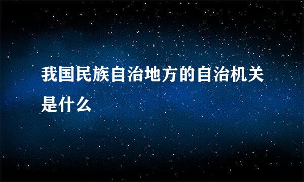 我国民族自治地方的自治机关是什么