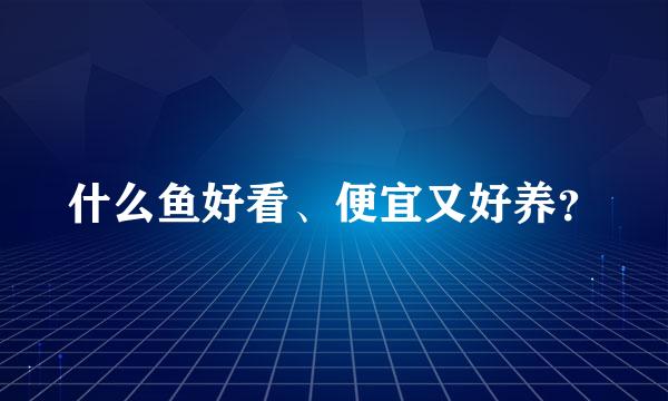 什么鱼好看、便宜又好养？