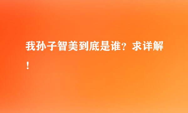 我孙子智美到底是谁？求详解！