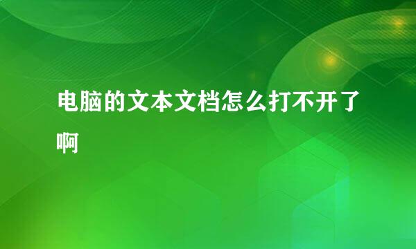 电脑的文本文档怎么打不开了啊