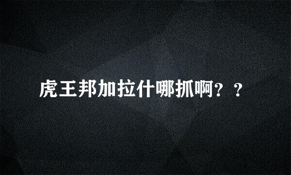 虎王邦加拉什哪抓啊？？