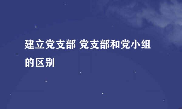 建立党支部 党支部和党小组的区别