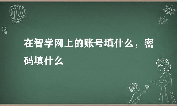 在智学网上的账号填什么，密码填什么