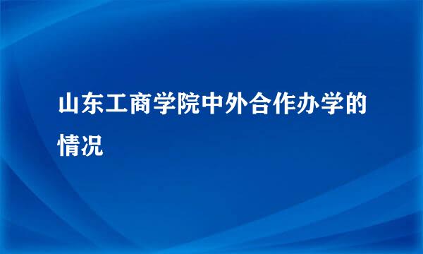 山东工商学院中外合作办学的情况