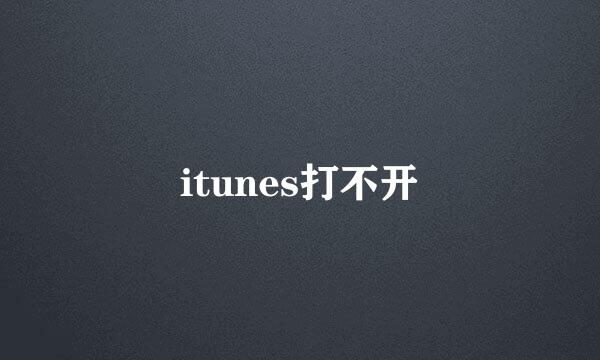 itunes打不开