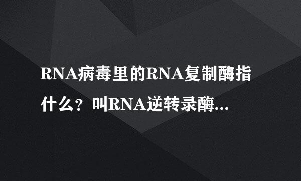 RNA病毒里的RNA复制酶指什么？叫RNA逆转录酶吗？还是叫逆转录酶？DNA复制酶呢？指的是DNA解旋酶和DNA聚...