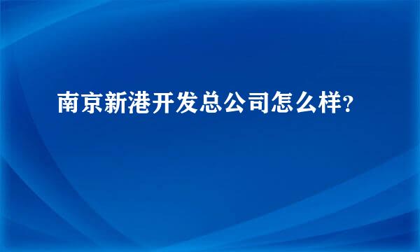 南京新港开发总公司怎么样？