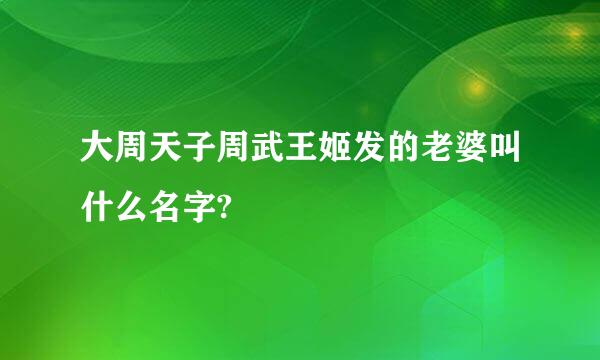 大周天子周武王姬发的老婆叫什么名字?