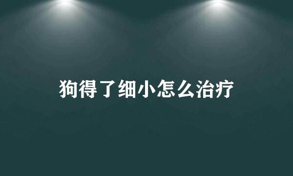 狗得了细小怎么治疗