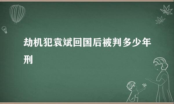 劫机犯袁斌回国后被判多少年刑