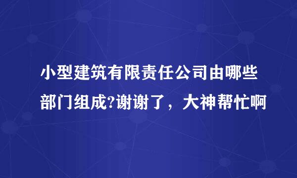 小型建筑有限责任公司由哪些部门组成?谢谢了，大神帮忙啊