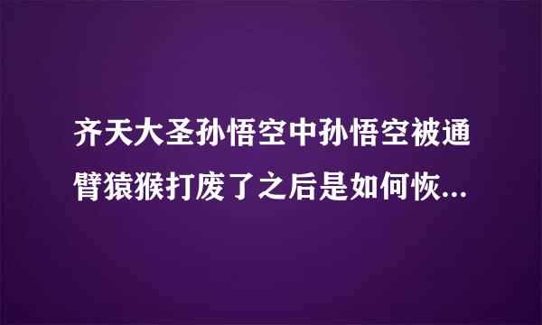 齐天大圣孙悟空中孙悟空被通臂猿猴打废了之后是如何恢复功力的