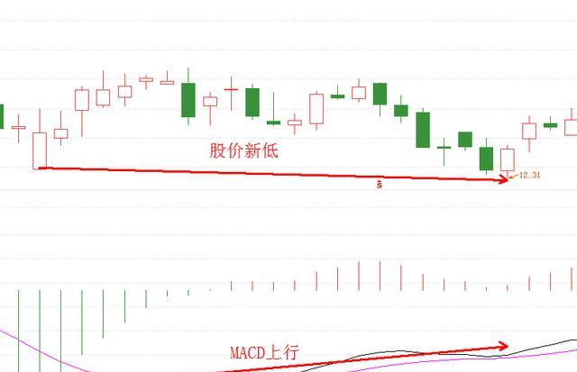 macd底背离就一定会上涨吗？为什么？