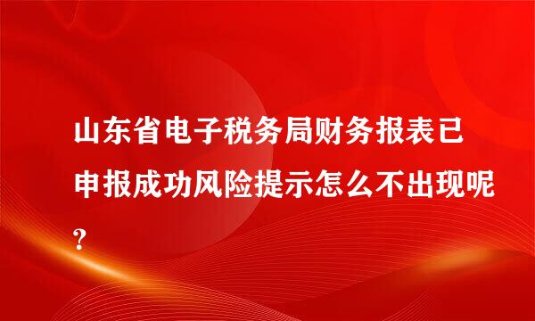 山东省电子税务局财务报表已申报成功风险提示怎么不出现呢？