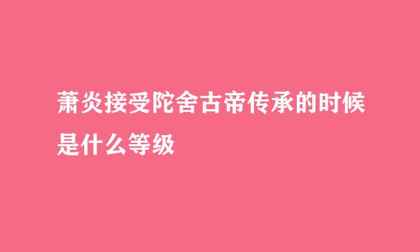 萧炎接受陀舍古帝传承的时候是什么等级