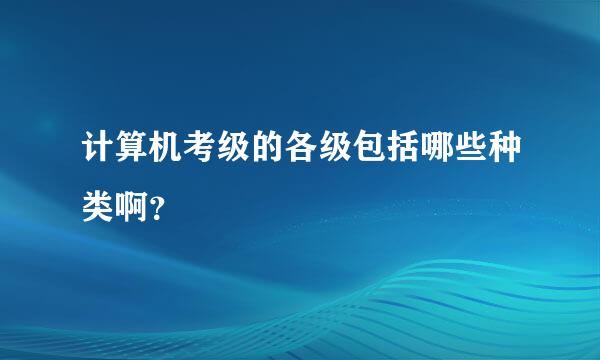 计算机考级的各级包括哪些种类啊？