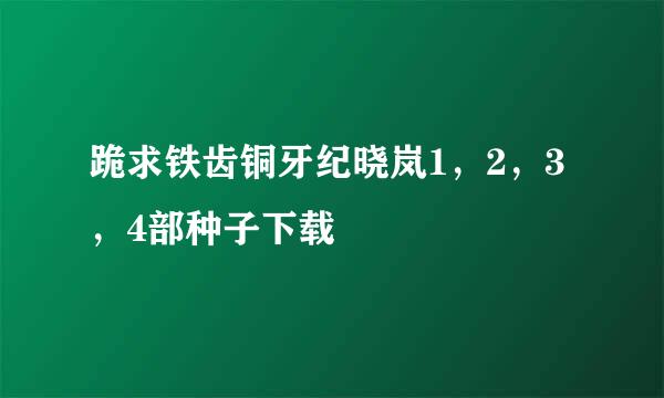 跪求铁齿铜牙纪晓岚1，2，3，4部种子下载