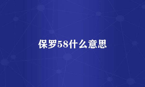 保罗58什么意思