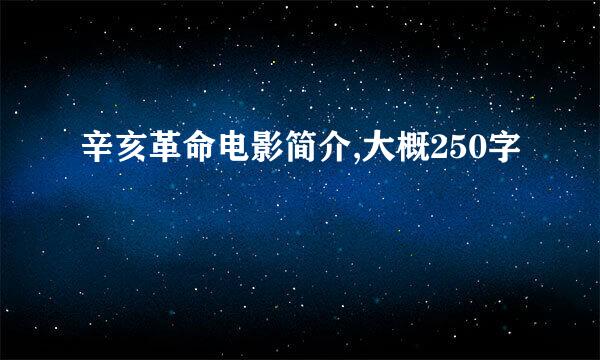 辛亥革命电影简介,大概250字