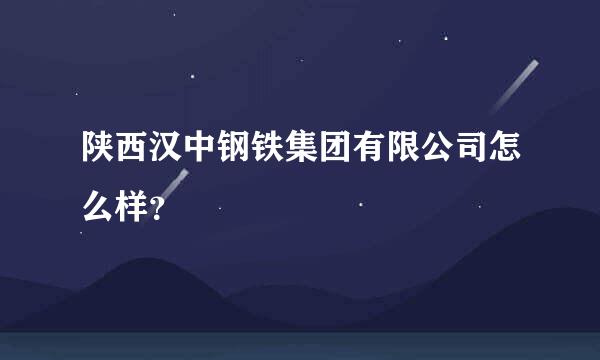 陕西汉中钢铁集团有限公司怎么样？