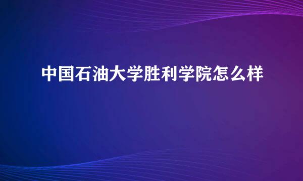 中国石油大学胜利学院怎么样