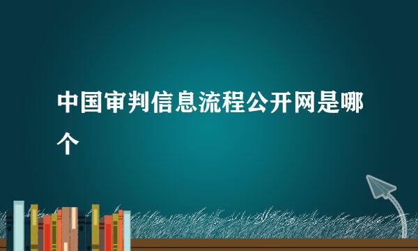 中国审判信息流程公开网是哪个