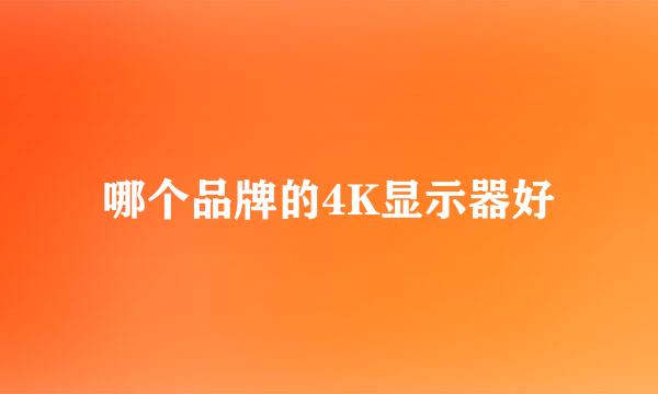 哪个品牌的4K显示器好