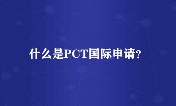 什么是PCT国际申请？