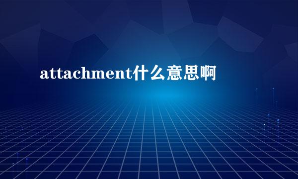 attachment什么意思啊