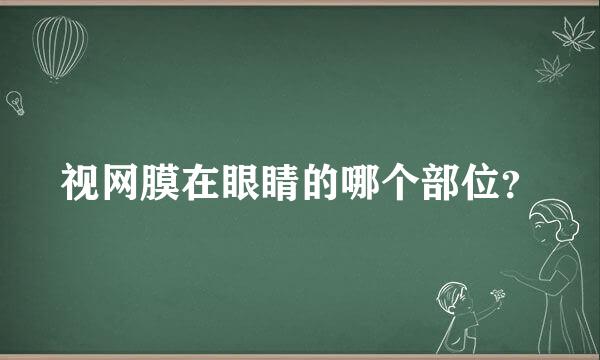 视网膜在眼睛的哪个部位？