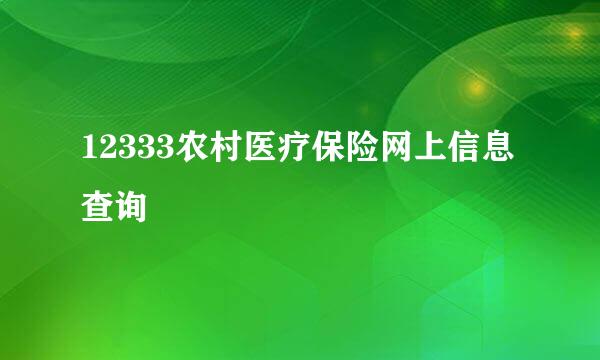 12333农村医疗保险网上信息查询