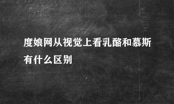 度娘网从视觉上看乳酪和慕斯有什么区别