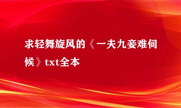 求轻舞旋风的《一夫九妾难伺候》txt全本