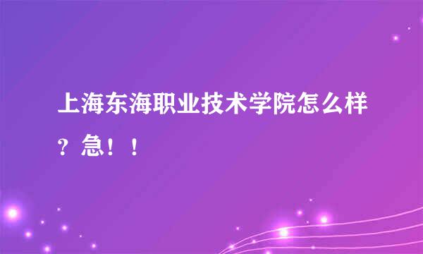 上海东海职业技术学院怎么样？急！！