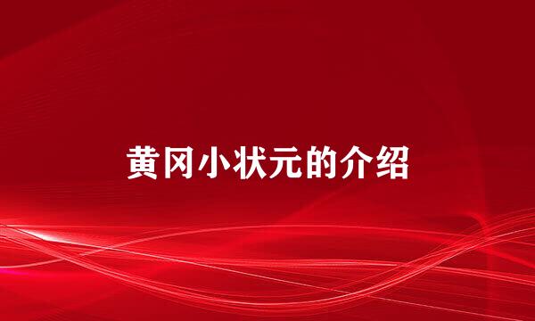 黄冈小状元的介绍