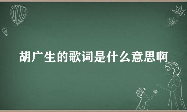 胡广生的歌词是什么意思啊