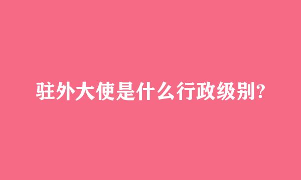 驻外大使是什么行政级别?