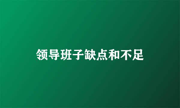 领导班子缺点和不足