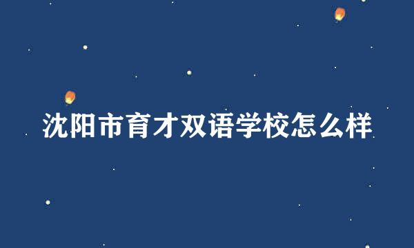 沈阳市育才双语学校怎么样