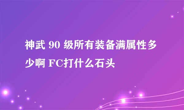 神武 90 级所有装备满属性多少啊 FC打什么石头