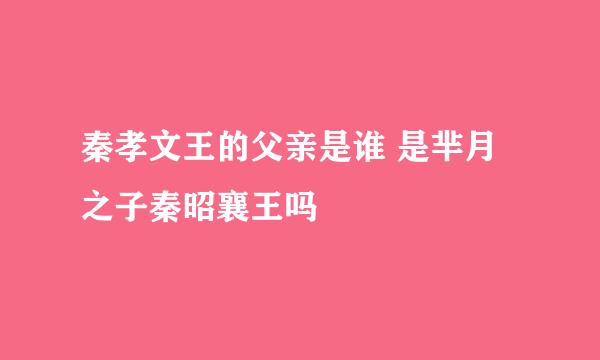 秦孝文王的父亲是谁 是芈月之子秦昭襄王吗