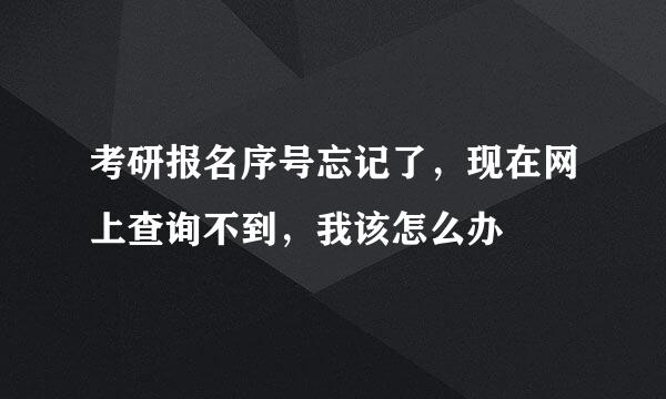 考研报名序号忘记了，现在网上查询不到，我该怎么办