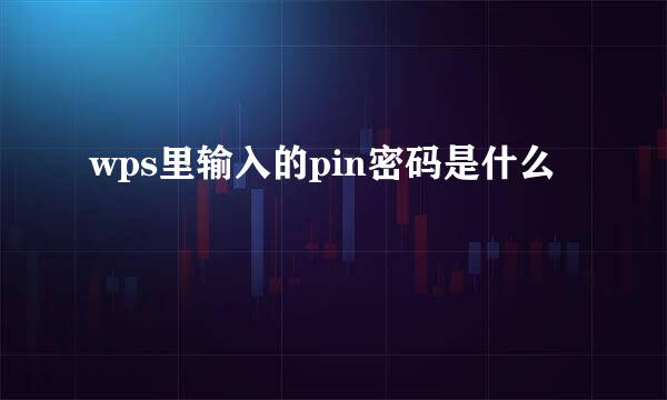 wps里输入的pin密码是什么