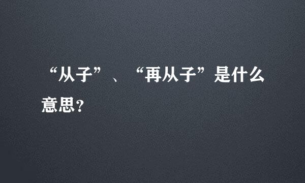 “从子”、“再从子”是什么意思？