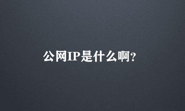 公网IP是什么啊？